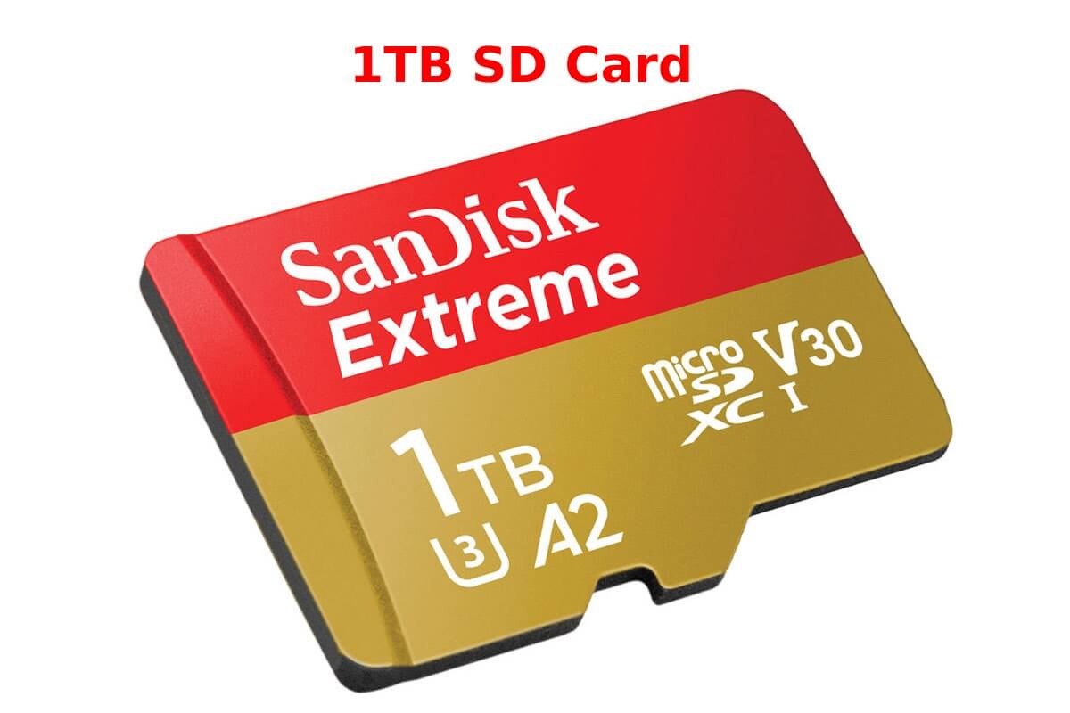 1TB SD Card