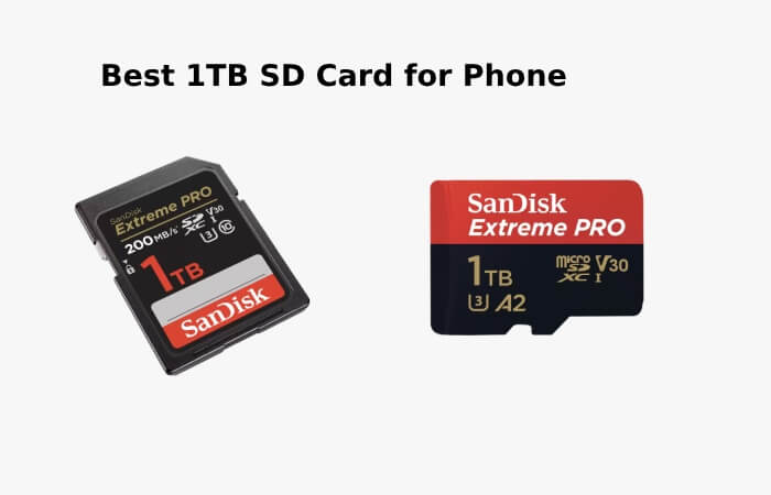 Best 1TB SD Card for Phone