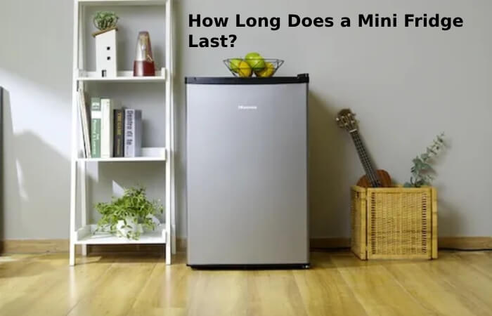 How Long Does a Mini Fridge Last?