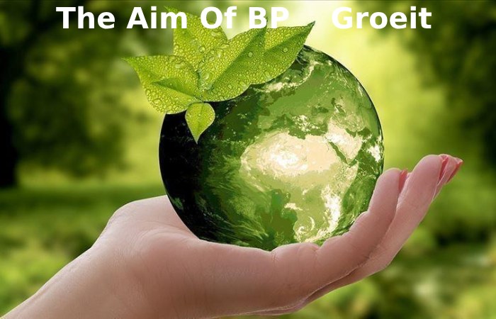 The Aim Of BP Groeit