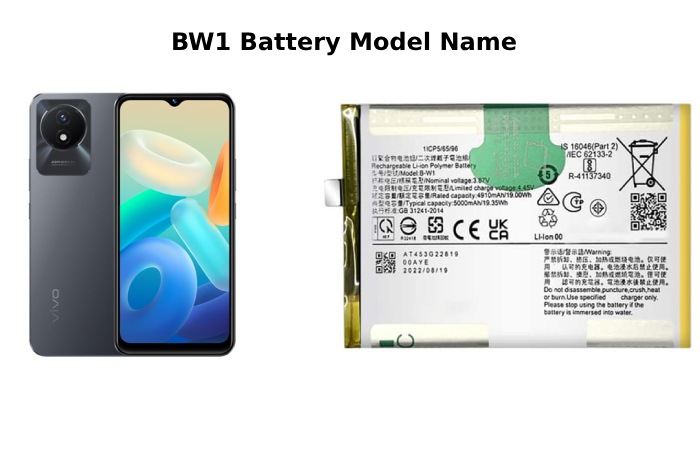 Bw1 Battery